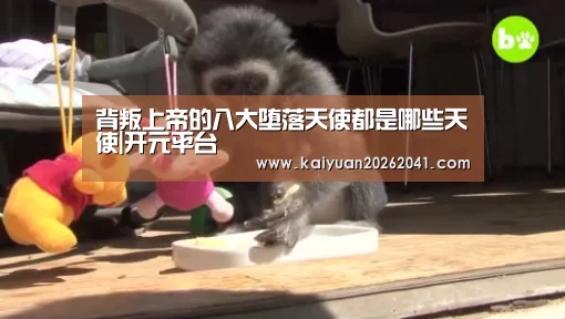 开元百家乐