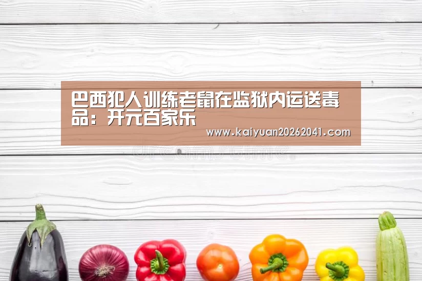开元百家乐